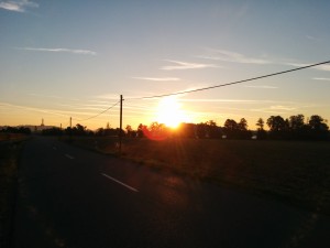 Der frühe Vogel... erlebt einen wunderschönen Sonnenaufgang (in Burglengenfeld).